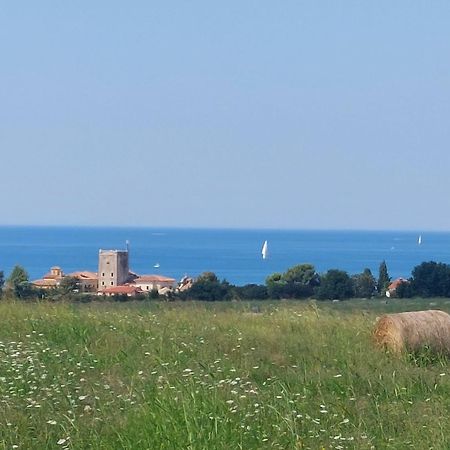 Apartments Henc Novigrad Istria Eksteriør bilde