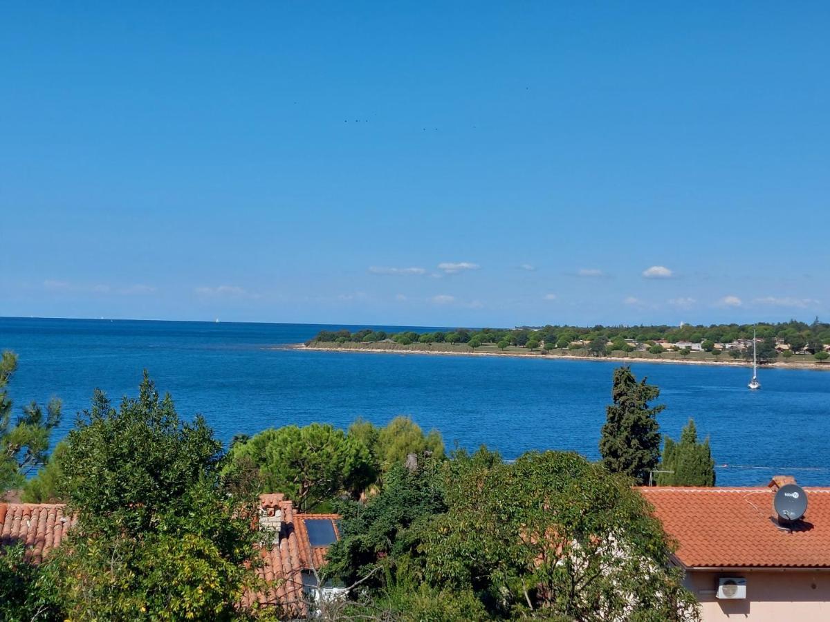 Apartments Henc Novigrad Istria Eksteriør bilde