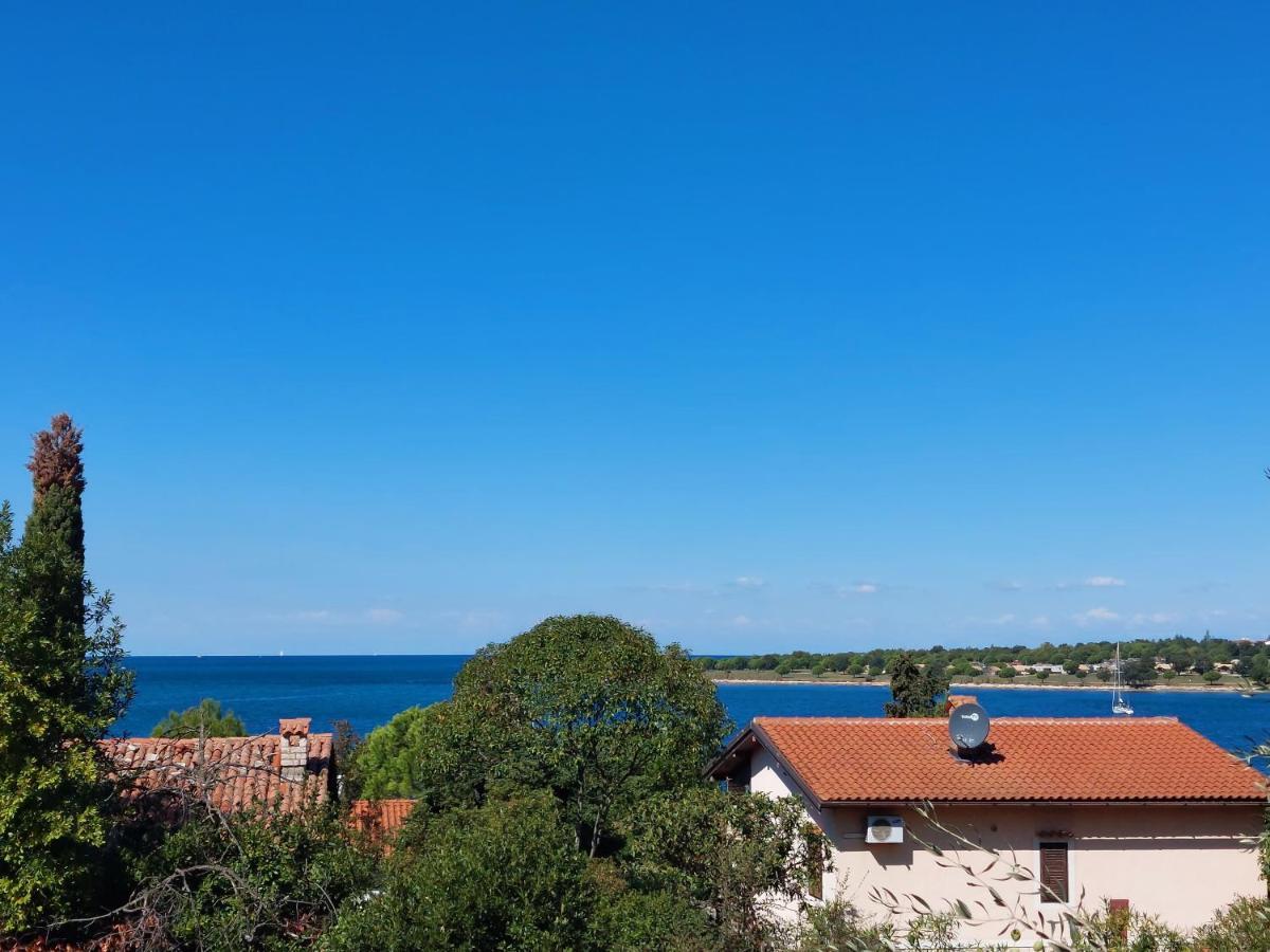 Apartments Henc Novigrad Istria Eksteriør bilde