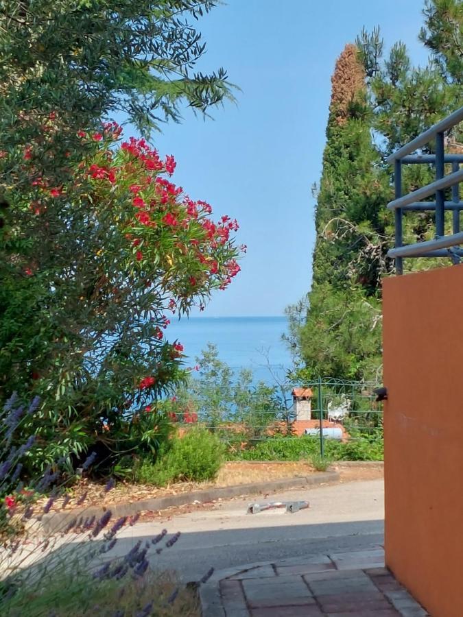 Apartments Henc Novigrad Istria Eksteriør bilde