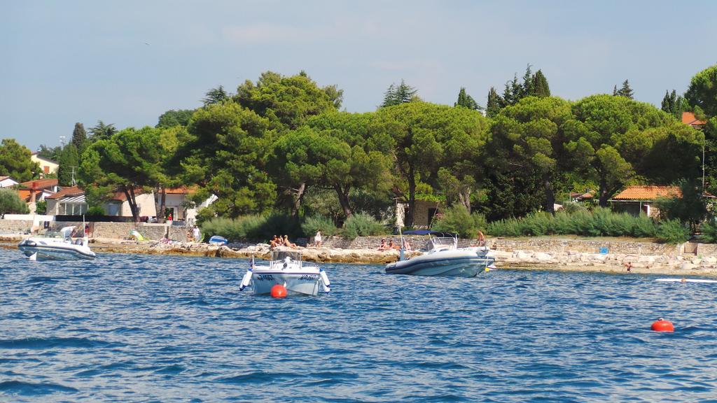 Apartments Henc Novigrad Istria Rom bilde