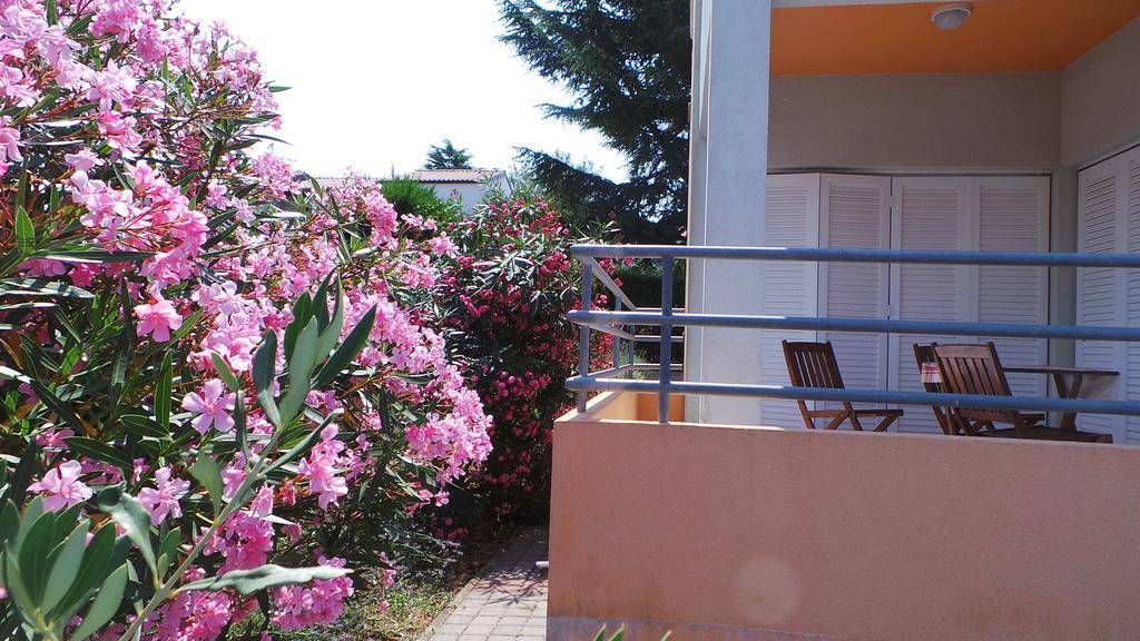 Apartments Henc Novigrad Istria Rom bilde
