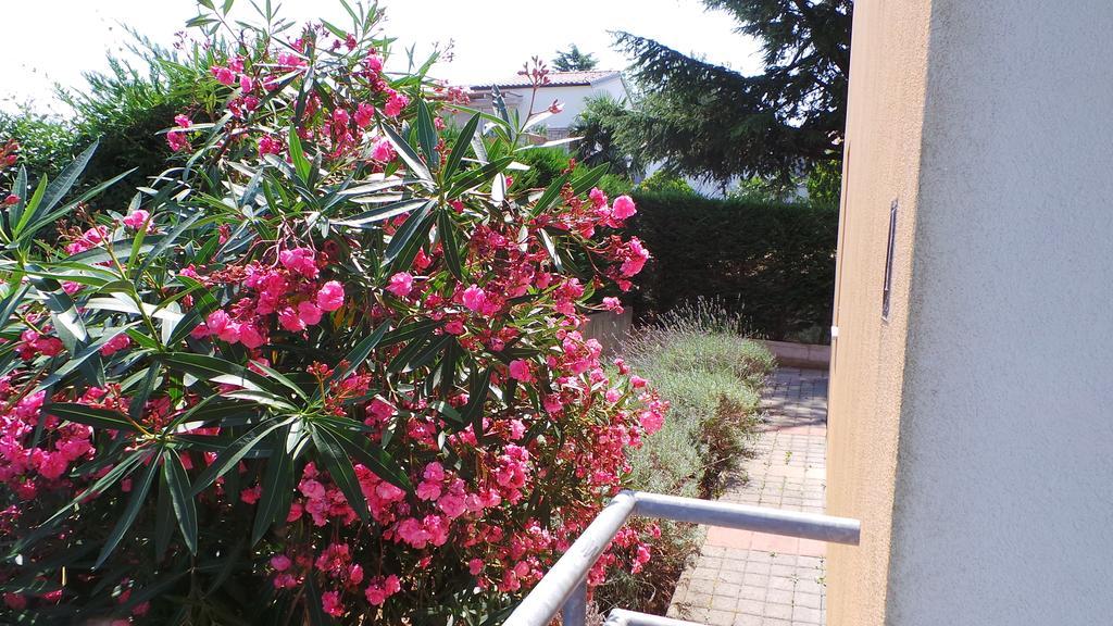 Apartments Henc Novigrad Istria Eksteriør bilde
