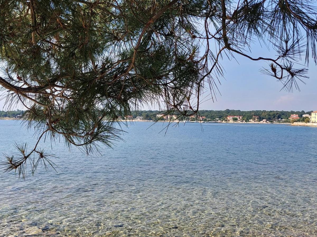 Apartments Henc Novigrad Istria Eksteriør bilde
