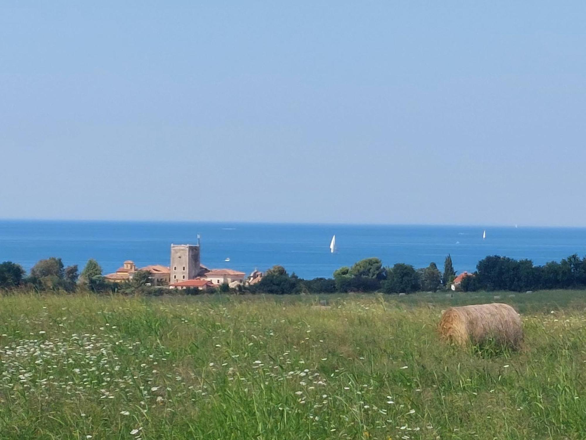 Apartments Henc Novigrad Istria Eksteriør bilde