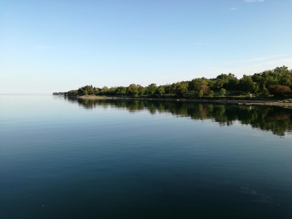 Apartments Henc Novigrad Istria Eksteriør bilde